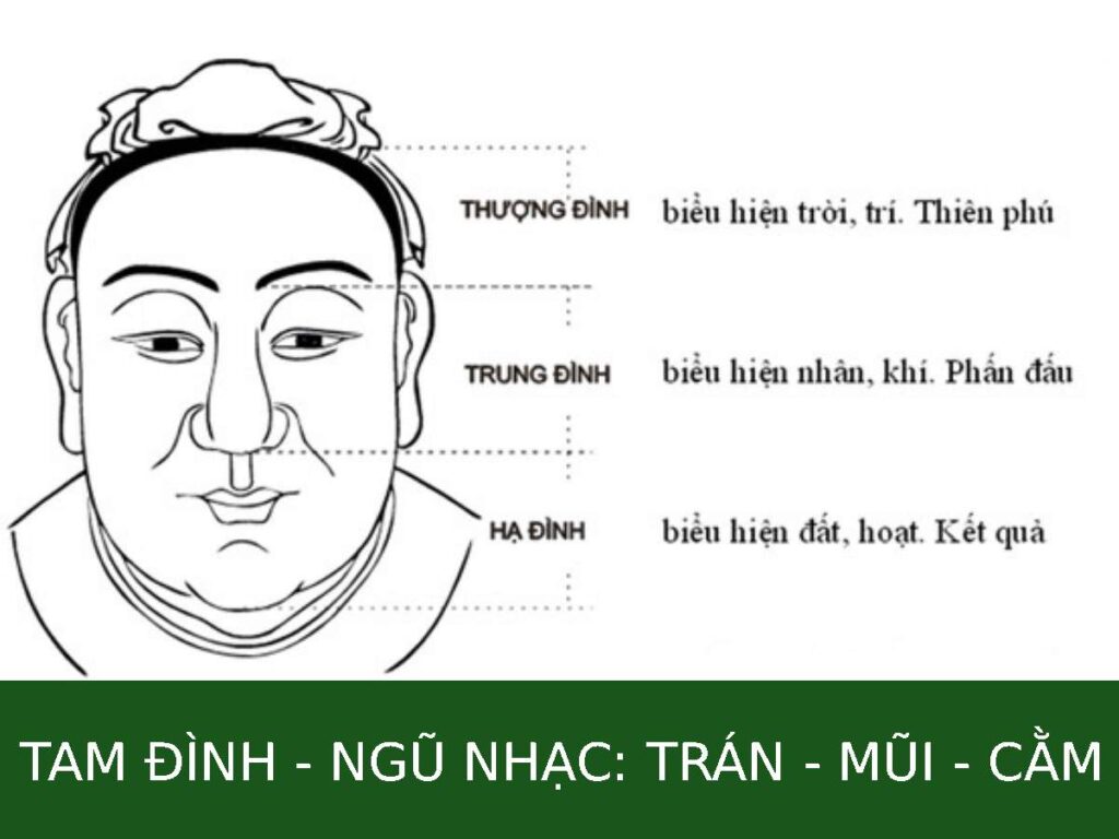 Tam Đình và Ngũ Nhạc là hai hệ thống phân tích khuôn mặt cốt lõi của nhân tướng học phương Đông