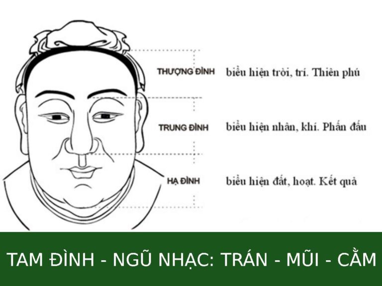 Tam Đình và Ngũ Nhạc là hai hệ thống phân tích khuôn mặt cốt lõi của nhân tướng học phương Đông