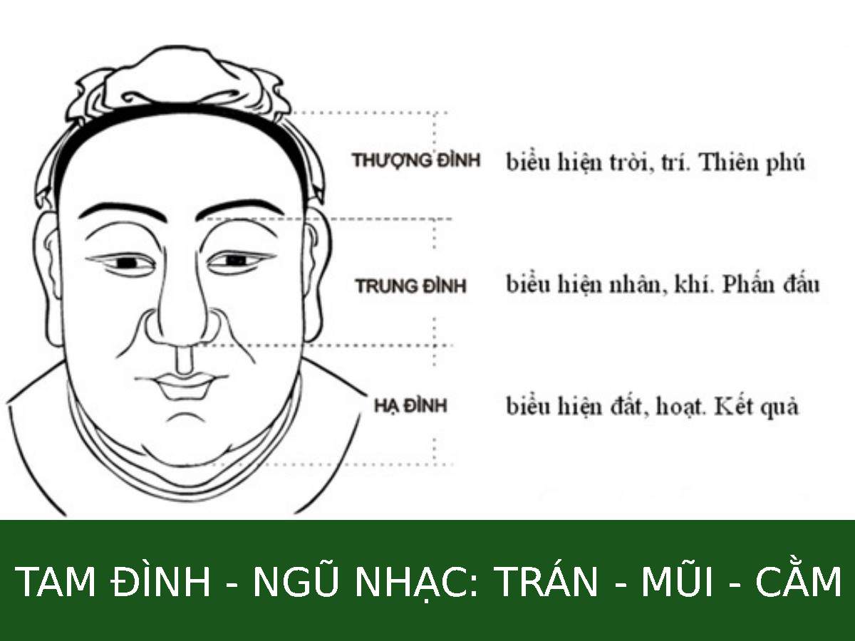 Tam Đình và Ngũ Nhạc là hai hệ thống phân tích khuôn mặt cốt lõi của nhân tướng học phương Đông