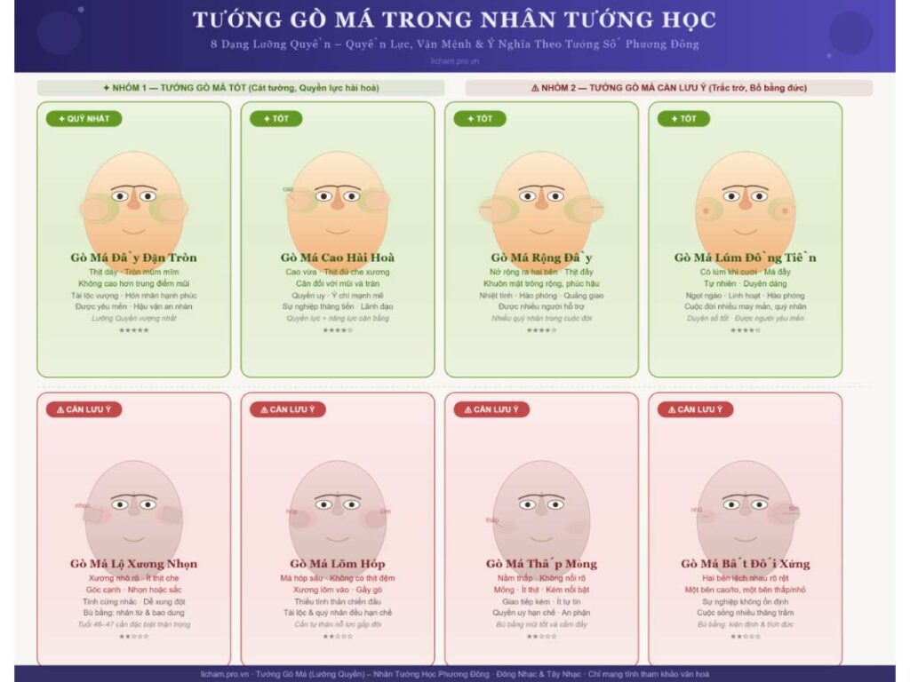 vùng nhân tướng phản chiếu quyền lực, uy tín xã hội, khả năng lãnh đạo và sức chịu đựng ở trung vận (35–55 tuổi). Bài viết phân tích toàn diện 7 dạng gò má phổ biến nhất, tiêu chuẩn nhận biết