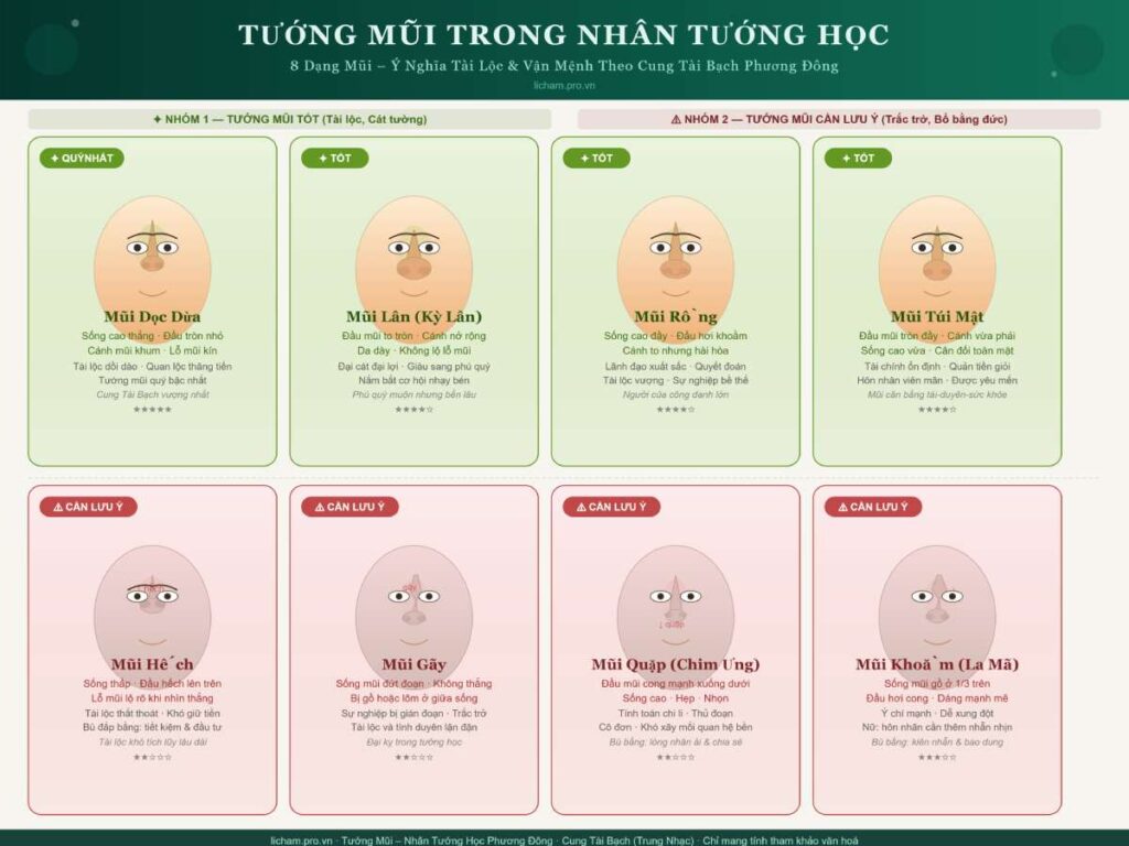 Mũi là "Trung Nhạc" và "Cung Tài Bạch" quan trọng nhất trên khuôn mặt theo nhân tướng học phương Đông