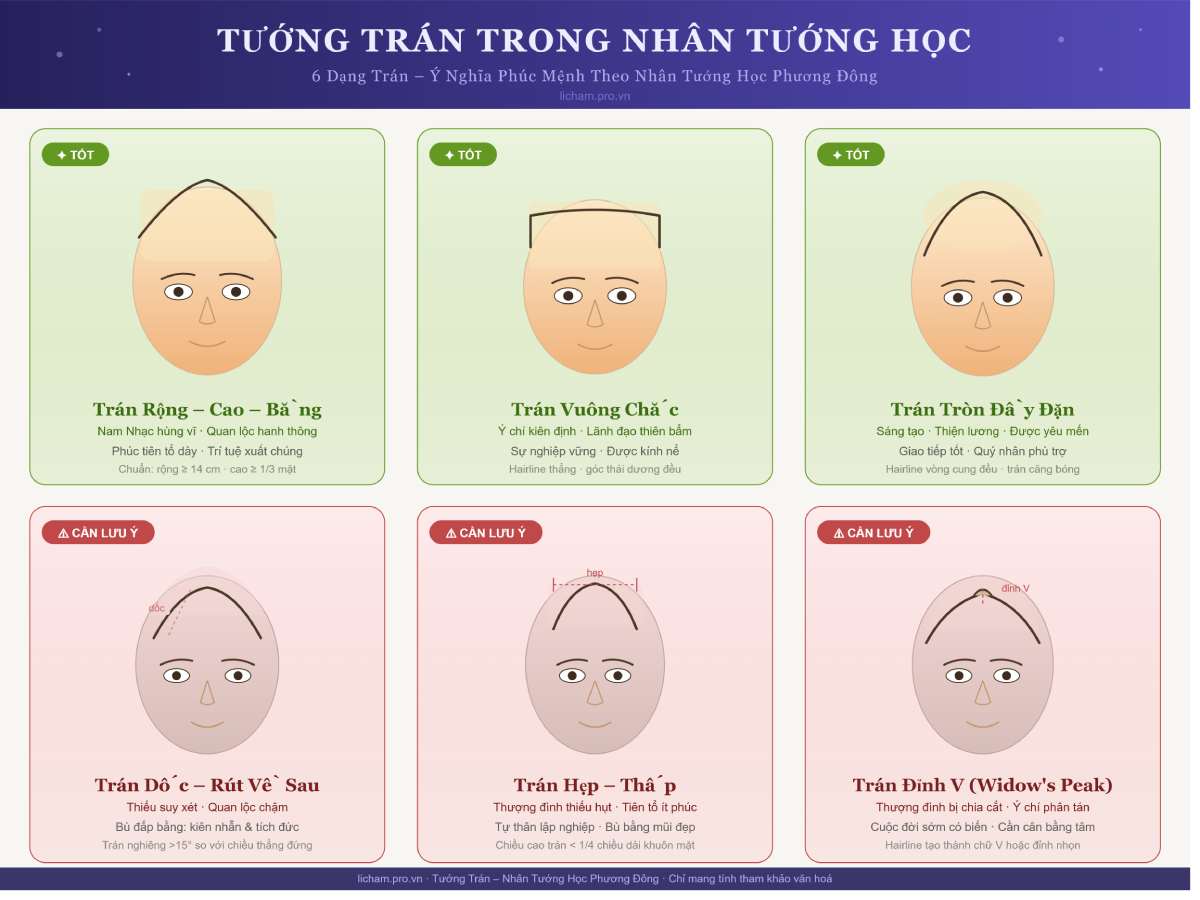 Trong nhân tướng học phương Đông, tướng trán (额相, Ngạch Tướng) là vùng quan trọng bậc nhất trên khuôn mặt